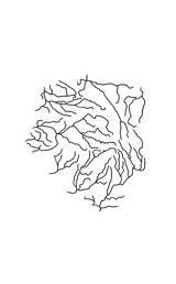 Métaphysique limousine - Magne, Pierre