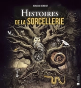 Histoires de la sorcellerie - Renaud Benoist