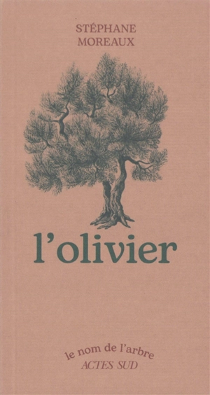 L'olivier - Stéphane Moreaux