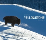 Intime Yellowstone. Intimate Yellowstone - Denis Palanque