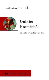 Oublier Prométhée : la lente préhistoire du feu - Catherine Perlès