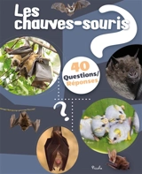 Les chauves-souris - Christine Baillet