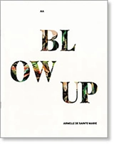 BLOW UP : Armelle de Sainte Marie - Emilie Ovaere-Corthay