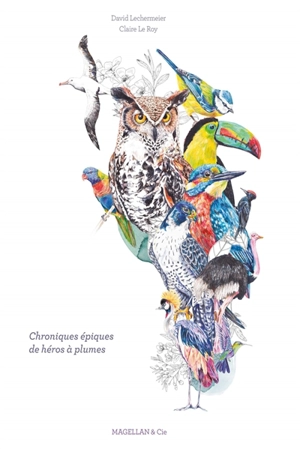 Chroniques épiques de héros à plumes - David Lechermeier