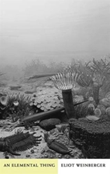 An Elemental Thing - Eliot Weinberger