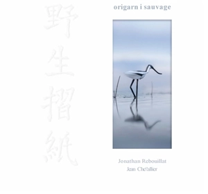 Origami sauvage - Jonathan Rebouillat