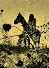 Aux ombres : un essai visuel documentaire sur les chevauchées Lakota. To the shadows : a visual documentary essay about Lakota rides - Simon Vansteenwinckel