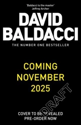Nash Falls - David Baldacci