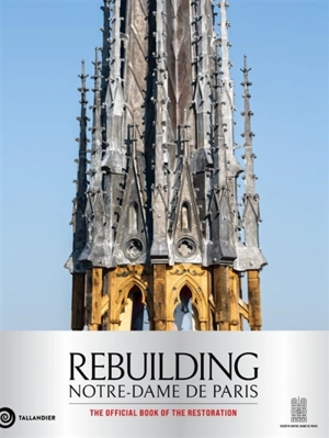 Rebuilding Notre-Dame de Paris - Mathieu Lours