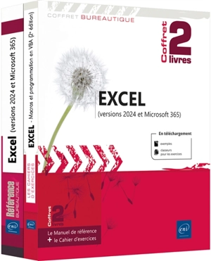 Excel (versions 2024 et Microsoft 365) : coffret 2 livres - Pierre Rigollet