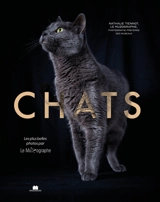 Chats : les plus belles photos par Le Muzographe - Nathalie Tiennot