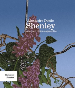 Shenley : nouvelle version augmentée - Dostie, Alexandre