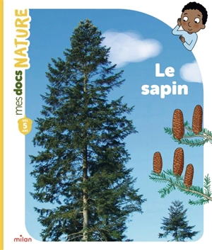 Le sapin - Pauline Payen
