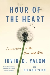 Hour of the Heart - Irvin D. Yalom