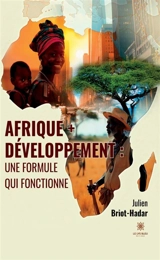 Afrique + développement : une formule qui fonctionne - Julien Briot-Hadar
