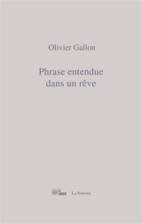 Phrase entendue dans un rêve : motifs - Olivier Gallon