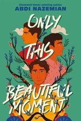 Only This Beautiful Moment - Abdi Nazemian