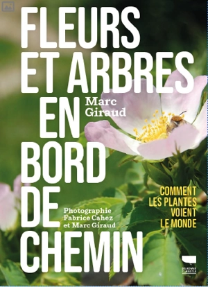 Fleurs et arbres en bord de chemin - Marc Giraud