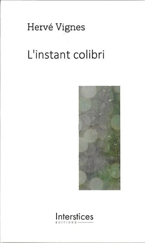 L'instant colibri - Hervé Vignes