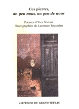 Ces pierres, un peu nous, un peu de nous - Yves Namur
