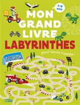 Mon grand livre de labyrinthes pour toute l'année ! - Loïc Méhée