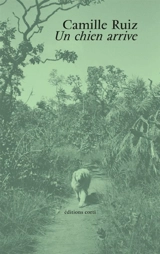 Un chien arrive - Camille Ruiz