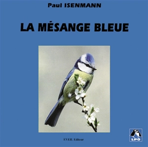 La mésange bleue - Paul Isenmann