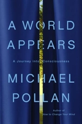 A World Appears - Michael Pollan