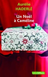 Un Noël à Caméline - Aurélie Haderlé