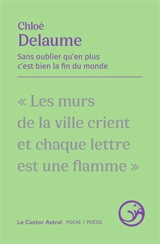 Sans oublier qu'en plus c'est bien la fin du monde - Chloé Delaume
