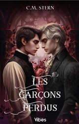 Les garçons perdus. Vol. 2 - C.M. Stern