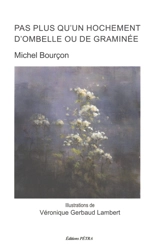 Pas plus qu'un hochement d'ombelle ou de graminée - Michel Bourçon