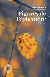 Figures de l'éphémère - Yves Namur