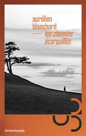 Les chemins écarquillés - Aurélien Blanchard
