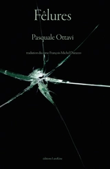 Fêlures - Pascal Ottavi