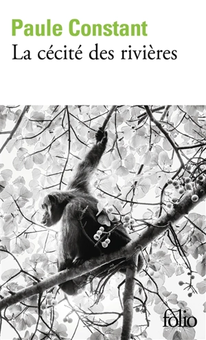 La cécité des rivières - Paule Constant