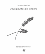 Deux gouttes de lumière - Damien Gabriels