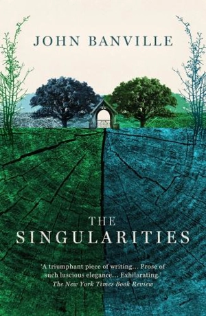 Singularities - Banville, John