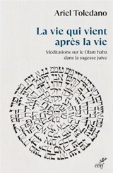 La vie qui vient après la vie : méditations sur le Olam haba dans la sagesse juive - Ariel Toledano