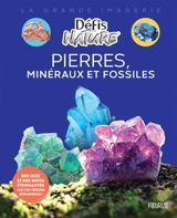 Pierres, minéraux et fossiles - Damien Vallot
