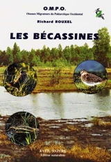Les bécassines du Paléarctique occidental : la bécassine des marais Gallinago gallinago, la bécassine sourde Lymnocryptes minimus, la bécassine double Gallinago media - Oiseaux migrateurs du paléarctique occidental