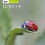 La coccinelle - Léa Schneider