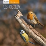 Les oiseaux - Alexandra Fontanel