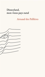 Disneyland, mon vieux pays natal - Arnaud Des Pallières
