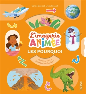 Les pourquoi - Carole Bourset