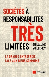 Sociétés à responsabilités très limitées : la grande entreprise face aux biens communs - Guillaume Vuillemey