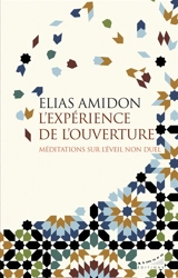 L'expérience de l'ouverture : méditations sur l'éveil non duel - Elias Amidon