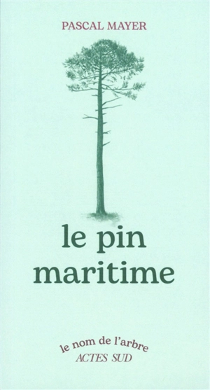 Le pin maritime - Pascal Mayer
