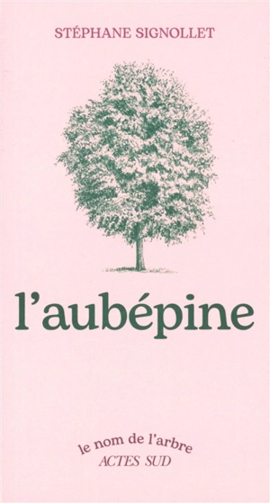 L'aubépine - Stéphane Signollet