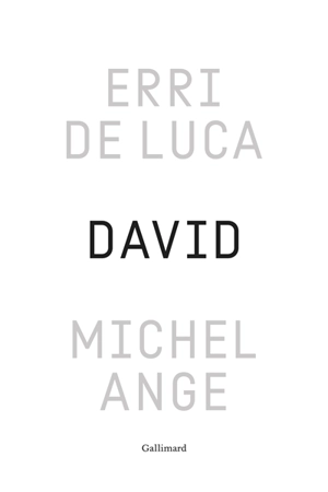 David, Michel-Ange : enquête sur une disproportion - Erri De Luca